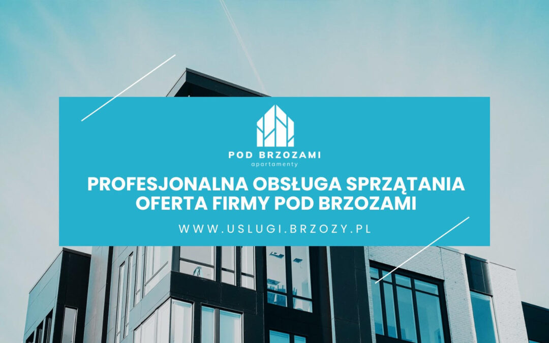 Profesjonalne sprzątanie apartamentów