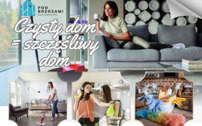 Czysty dom = szczęśliwy dom? Jak porządek wpływa na nasze samopoczucie