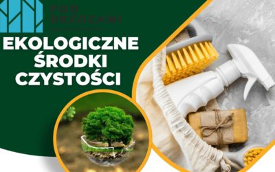 Ekologiczne środki czystości