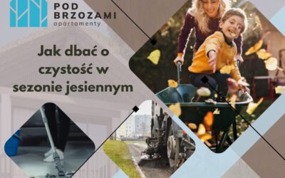 Jak dbać o czystość w sezonie jesiennym?