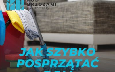 Jak szybko posprzątać dom?