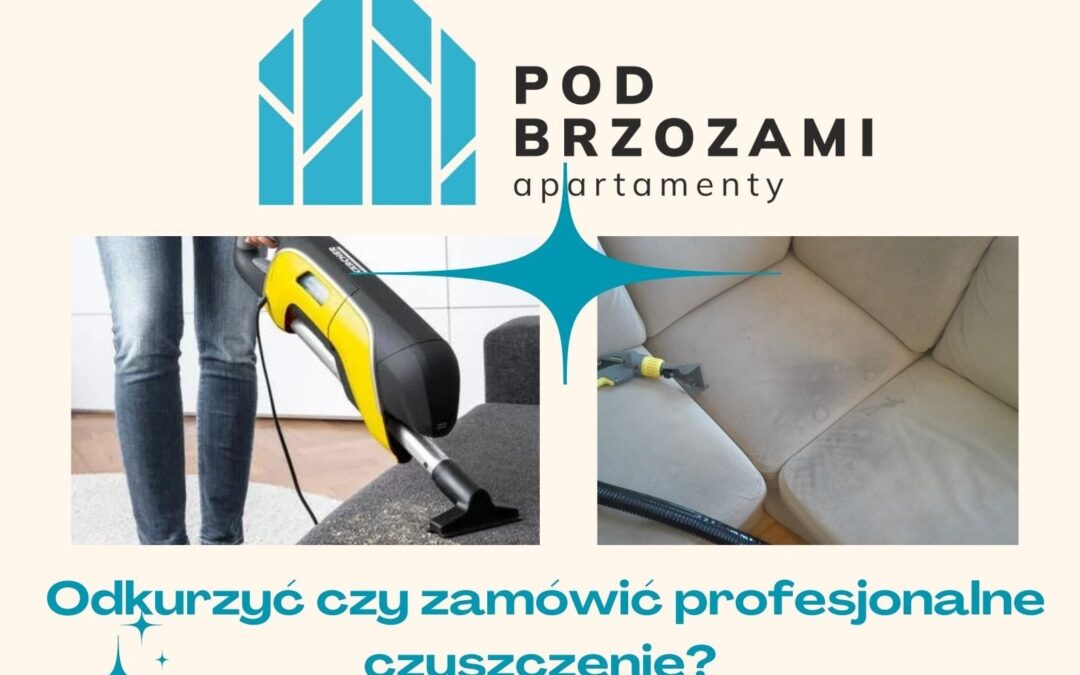 Odkurzyć czy zamówić profesjonalne czyszczenie?