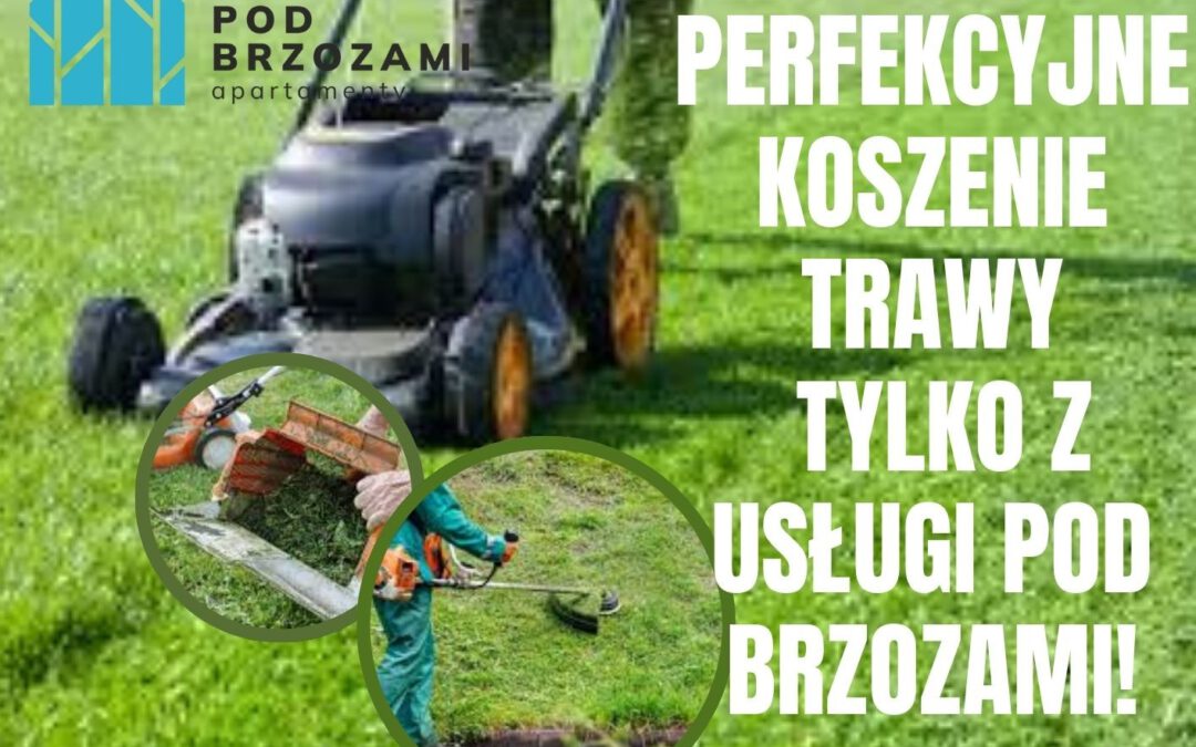 Perfekcyjne koszenie trawy w Ustroniu Morskim