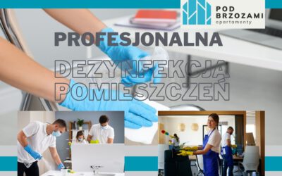 Profesjonalna dezynfekcja pomieszczeń