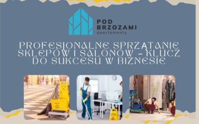 Profesjonalne sprzątanie sklepów i salonów