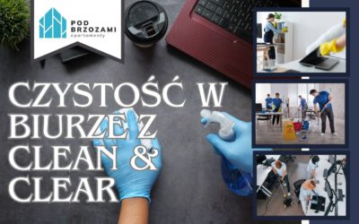 Dlaczego czystość w biurze wpływa na produktywność?