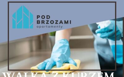 Walka z kurzem – praktyczny przewodnik