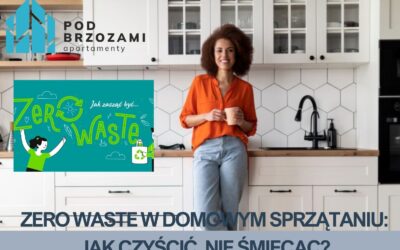 Zero waste w domowym sprzątaniu